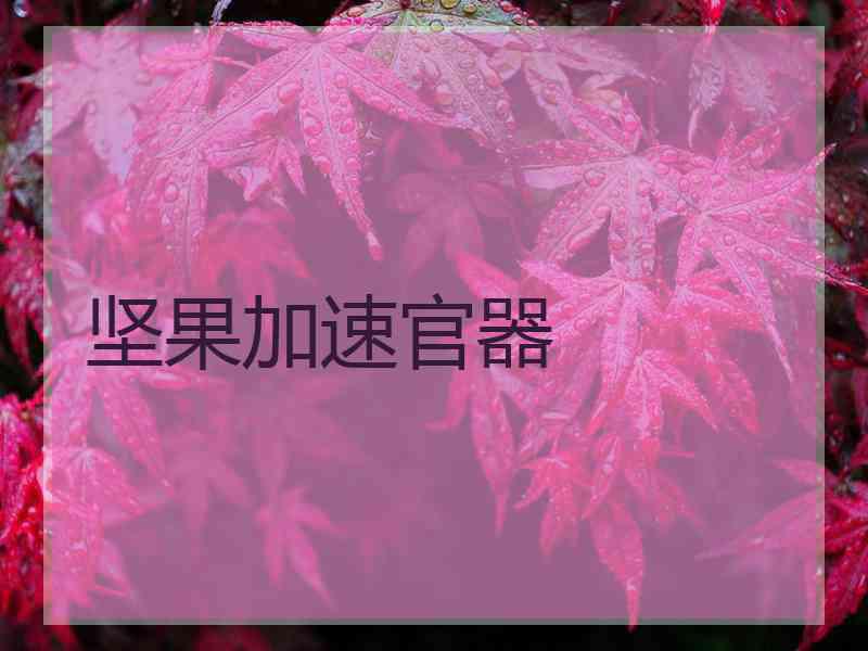 坚果加速官器