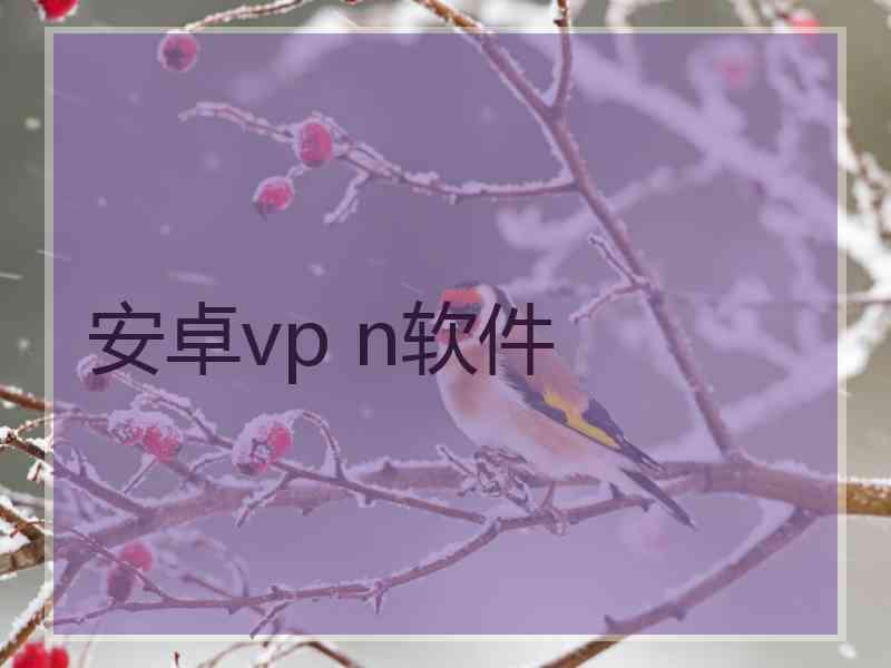安卓vp n软件