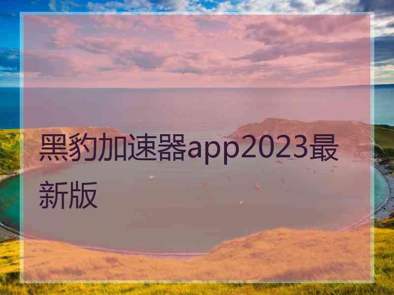 黑豹加速器app2023最新版