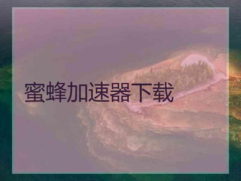 蜜蜂加速器下载