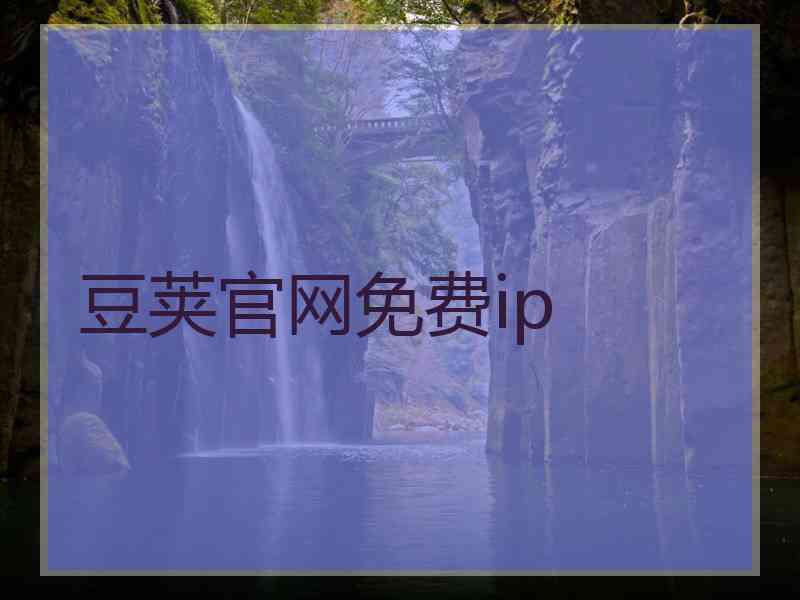 豆荚官网免费ip