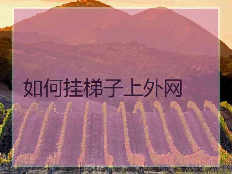 如何挂梯子上外网