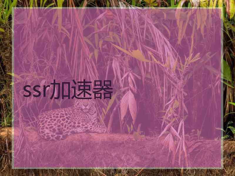 ssr加速器