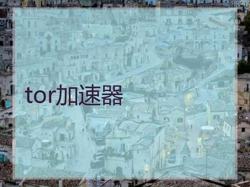 tor加速器