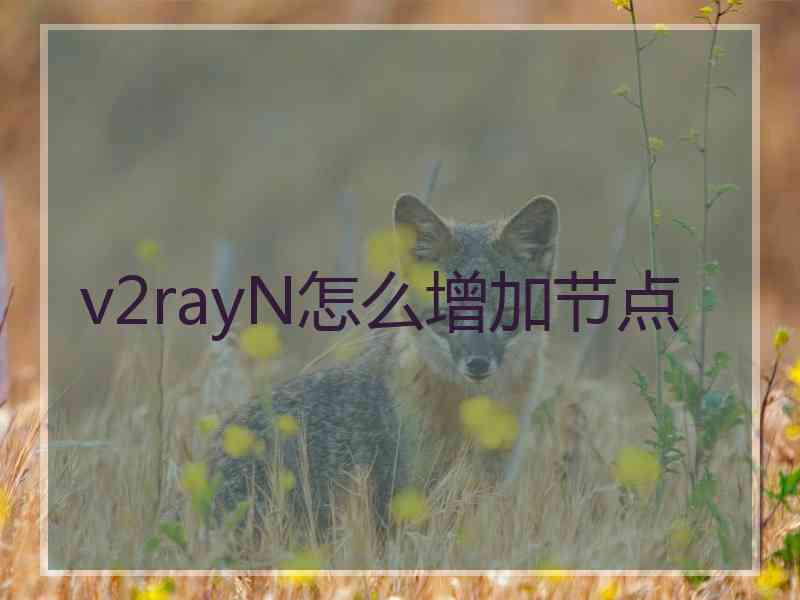 v2rayN怎么增加节点