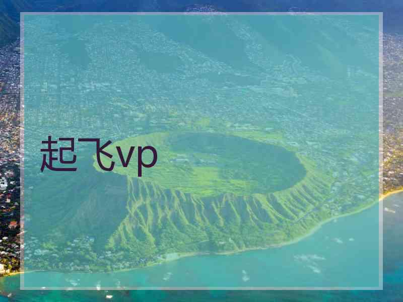起飞vp