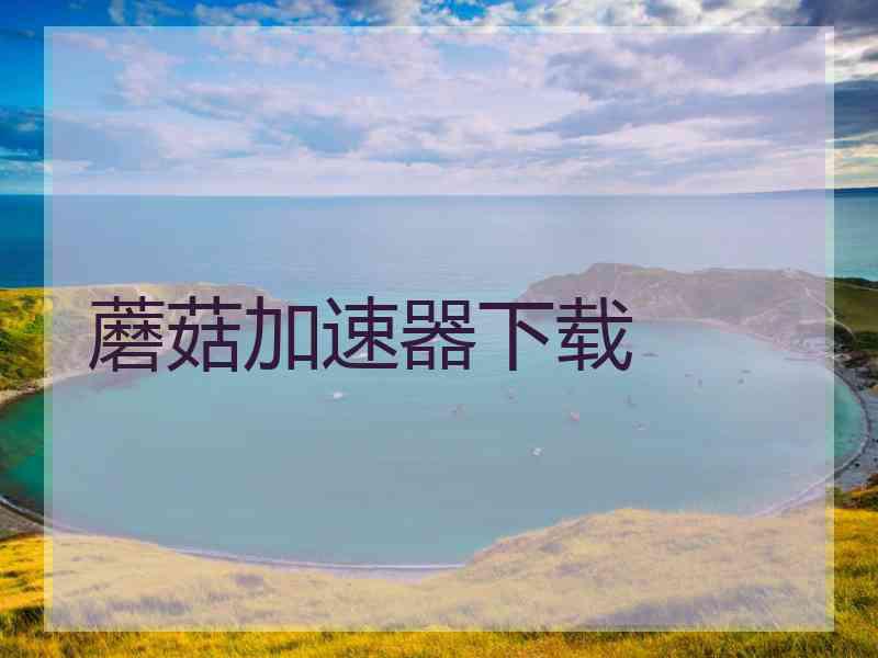 蘑菇加速器下载