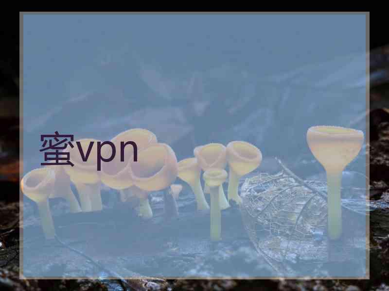 蜜vpn