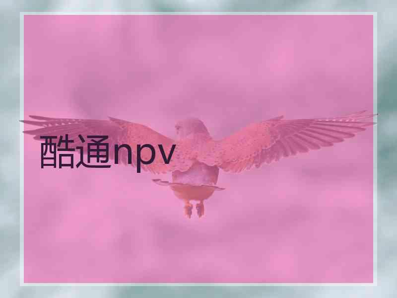 酷通npv