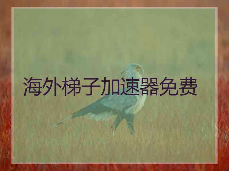 海外梯子加速器免费