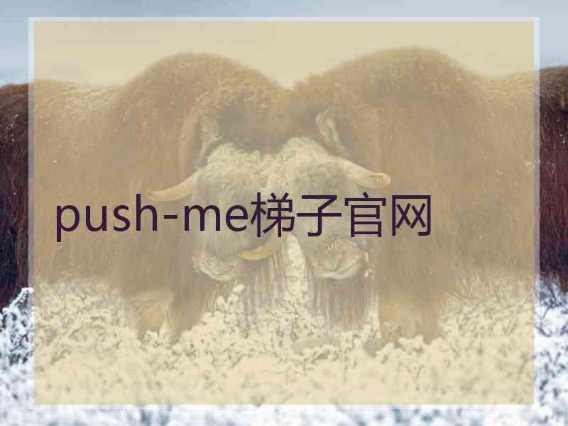 push-me梯子官网