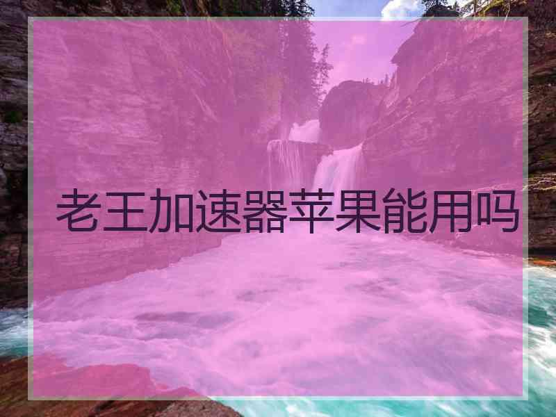老王加速器苹果能用吗