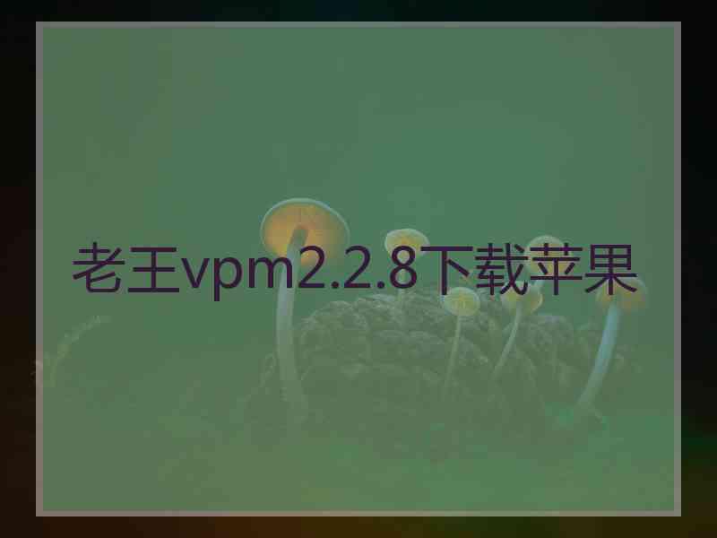 老王vpm2.2.8下载苹果