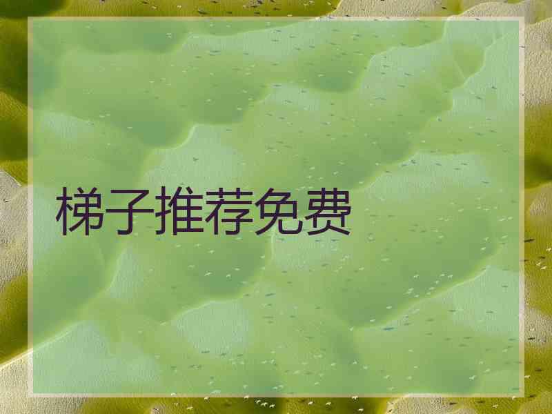 梯子推荐免费