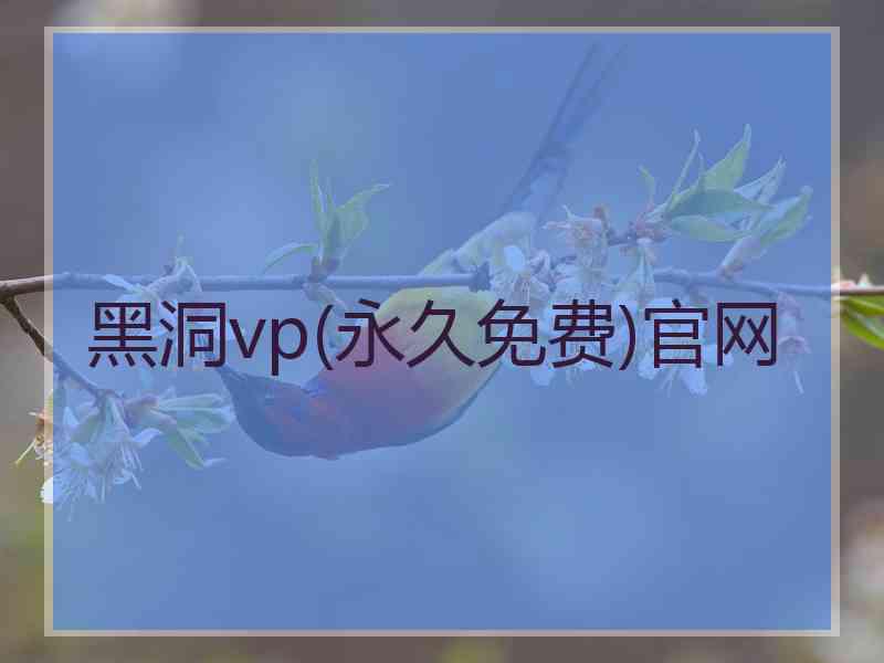 黑洞vp(永久免费)官网