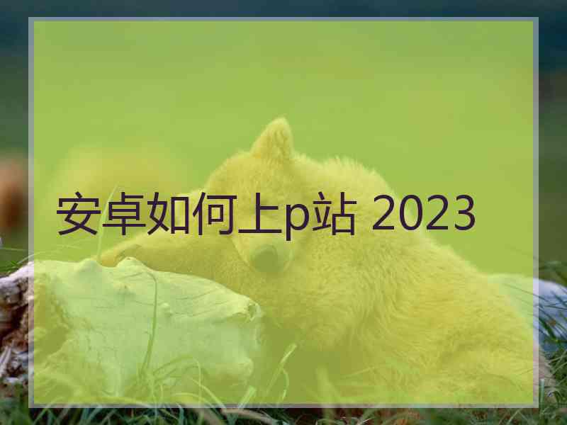 安卓如何上p站 2023