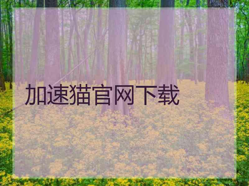 加速猫官网下载