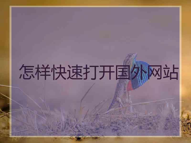 怎样快速打开国外网站
