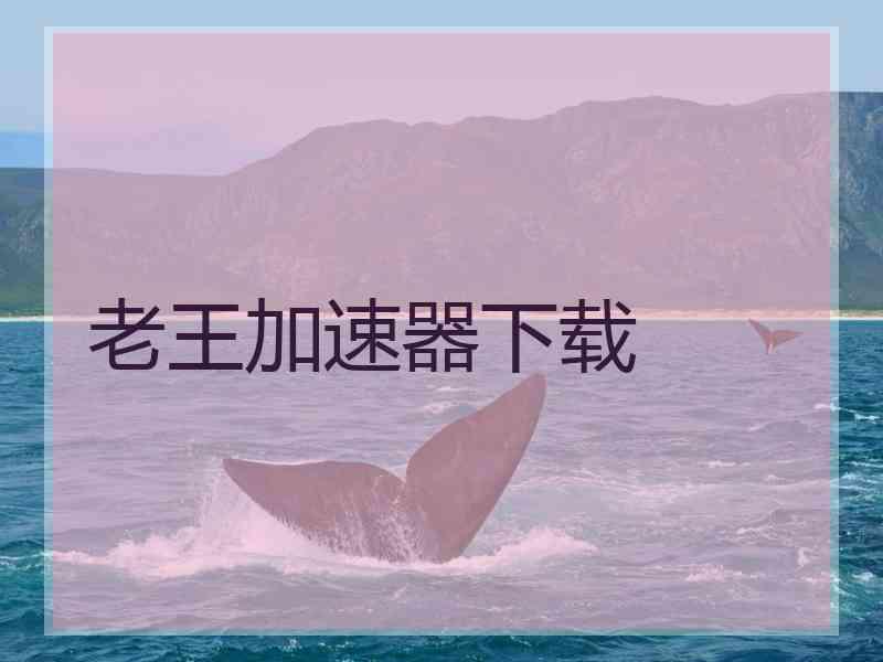 老王加速器下载