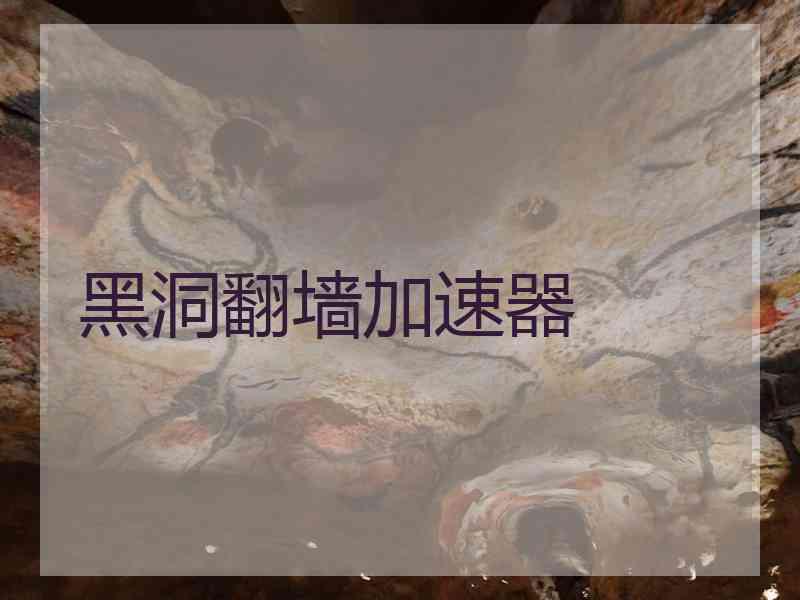 黑洞翻墙加速器