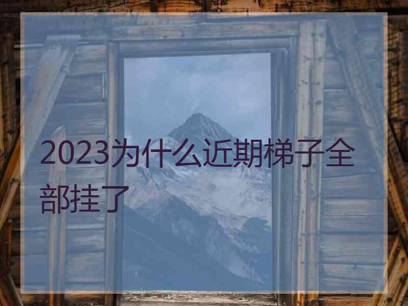 2023为什么近期梯子全部挂了