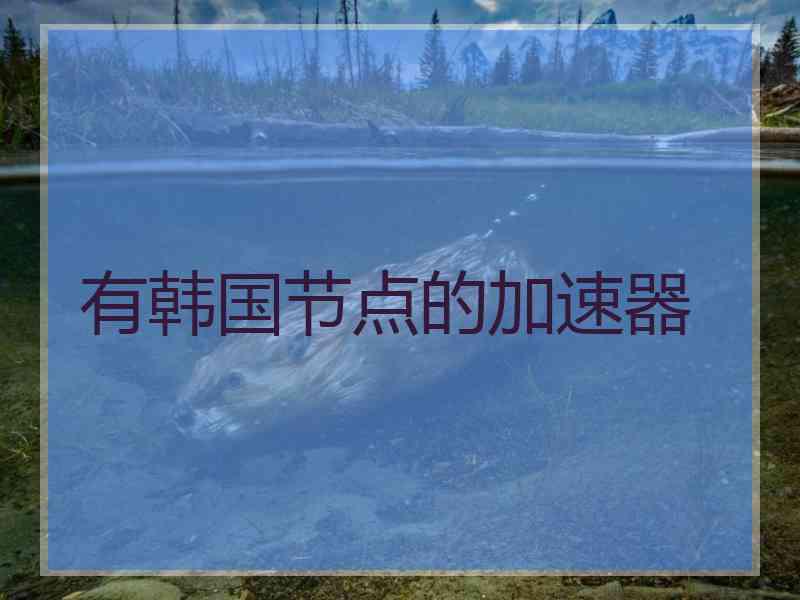 有韩国节点的加速器