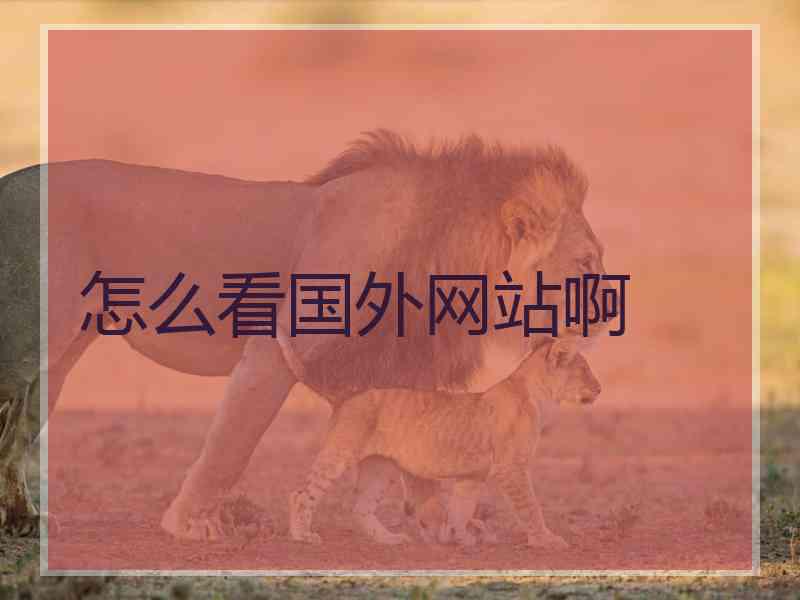 怎么看国外网站啊