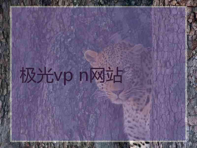 极光vp n网站
