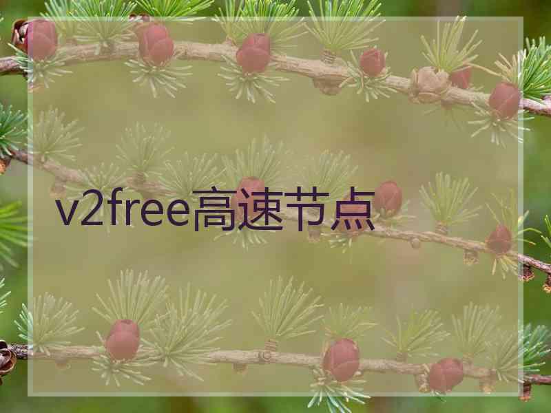 v2free高速节点