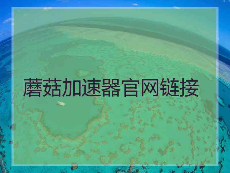 蘑菇加速器官网链接