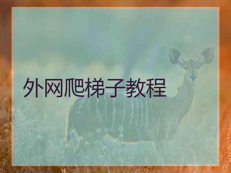 外网爬梯子教程