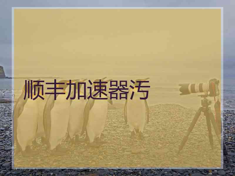 顺丰加速器汚