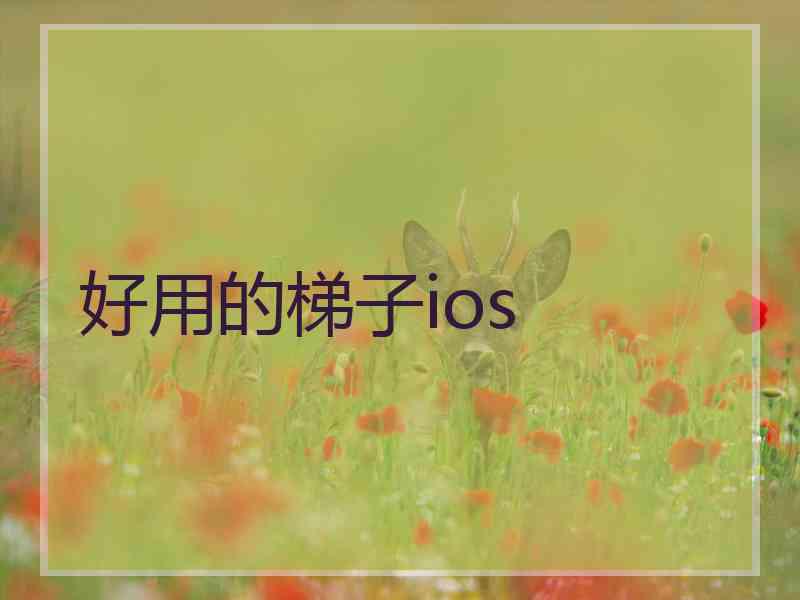 好用的梯子ios