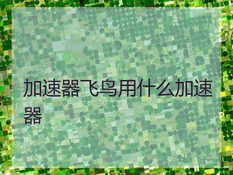 加速器飞鸟用什么加速器