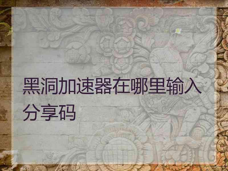 黑洞加速器在哪里输入分享码