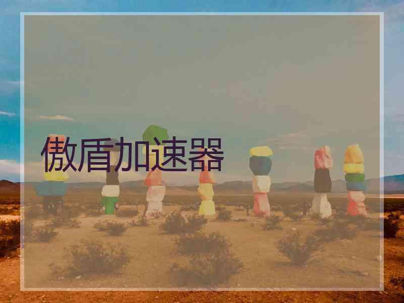 傲盾加速器