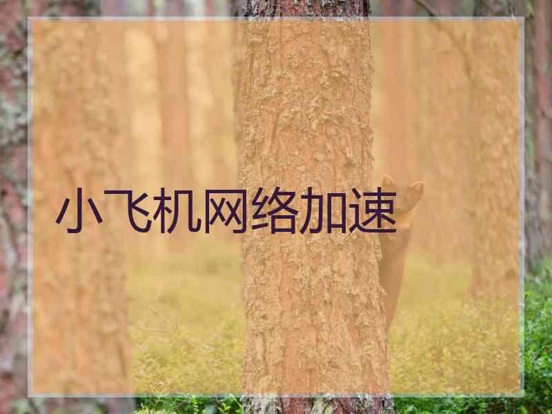 小飞机网络加速