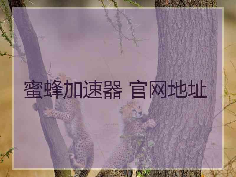 蜜蜂加速器 官网地址